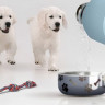 Термос Dog Bowl с миской для питомца, голубой